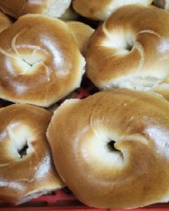 000 Wiles Road, Coral Springs, Florida 33076, USA