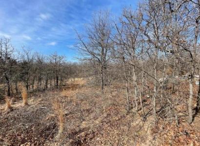 Shumway - Lot 9 Lot 9 Toad Road, Harrah, Oklahoma 73045, USA