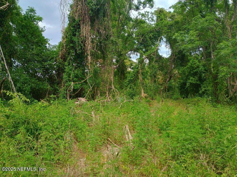 341 College Dr. C., Orange Park, 플로리다 32065, 미국