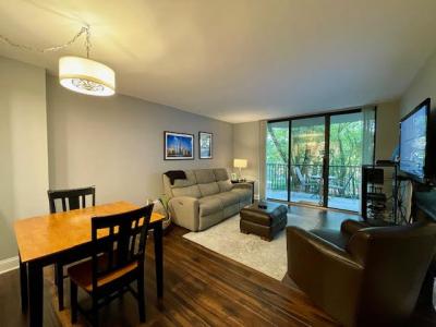 509 Aurora Avenue , 308, Naperville, Illinois 60540, Stati Uniti