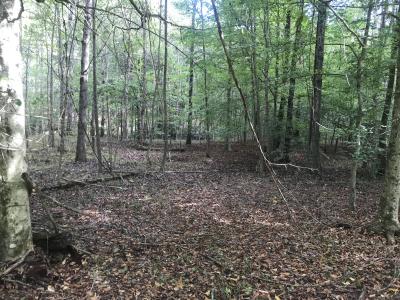 0 Farmhouse Trail 91.2 Acres Land, Morehead, Kentucky 40351, USA