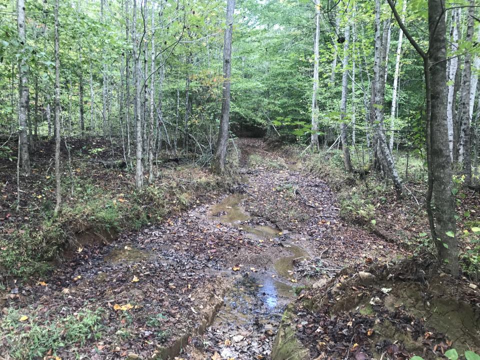 0 Farmhouse Trail 91.2 Acres Land, Morehead, Kentucky 40351, Stati Uniti