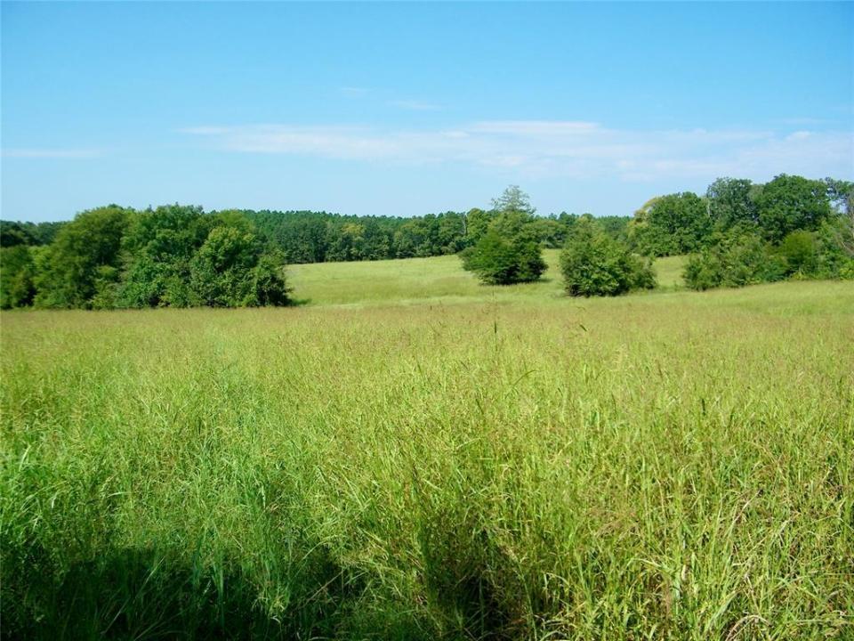 901 Sycamore Bend Loop, Broken Bow, Oklahoma 74728, Estados Unidos