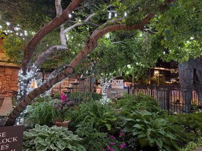 1020 15th Street, Unit 10g, Denver, Colorado 80202