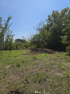 16 Republic Street, Mayesville, ساوث كارولينا 29104, الولايات المتحدة