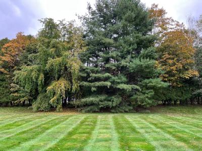 212 Church, Newington, Connecticut 06111, Stati Uniti