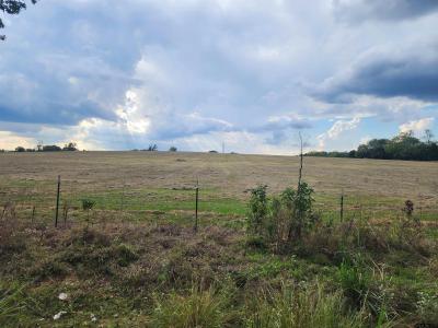 Tbd Cr 4230, Mt Pleasant, Texas 75455