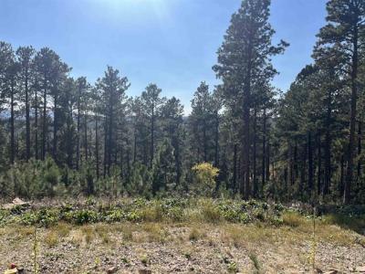 11795 Gilt Edge Rd, Deadwood, Dakota Południowa 57732, USA