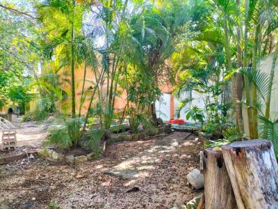 Ceiba , Cancún/Benito Juárez, Кинтана-Роо 77500, Мексика