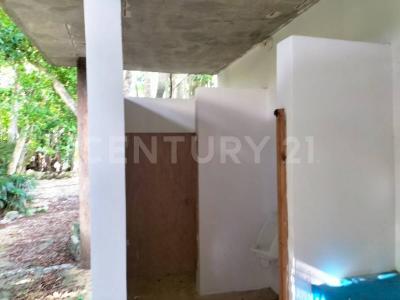 Ceiba , Cancún/Benito Juárez, Кинтана-Роо 77500, Мексика