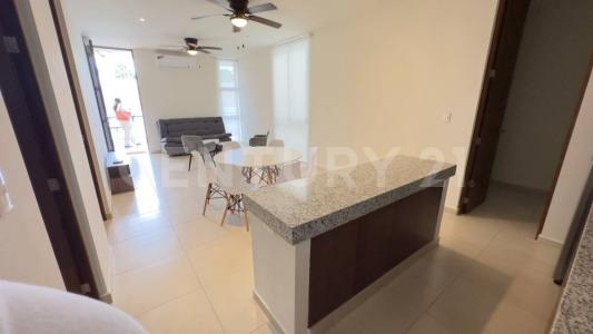 11A 11, Mérida, Yucatan 97300, Mexique