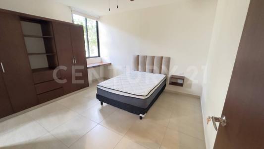 11A 11, Mérida, Yucatan 97300, Mexique