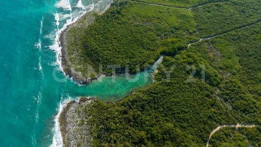 Retorno Xaac Lote 175, Solidaridad / Riviera Maya, Quintana Roo 77729, México