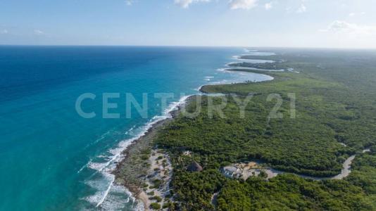 Retorno Xaac Lote 175, Solidaridad / Riviera Maya, Quintana Roo 77729, México