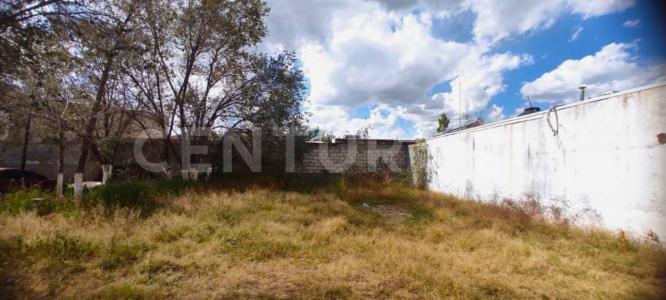 Quinta Catalina , Cuauhtémoc, Chihuahua 31533, Messico