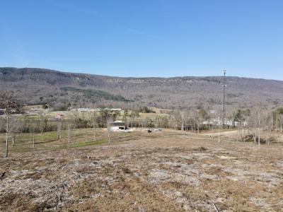 0 Industrial Pike, Whitwell, Теннесси 37397, Соединенные Штаты