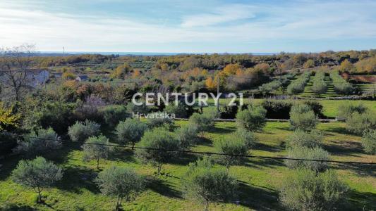 Sveti Lovreč, Sveti Lovreč, Istarska Županija, Croazia