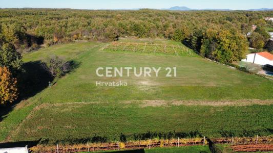 Svetvinčenat, Svetvinčenat, Istarska Županija, Croacia