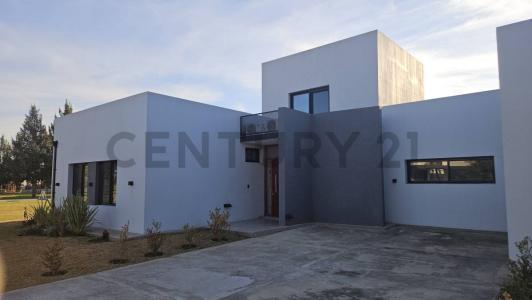 El deslinde 1360, San Vicente, GBA Sur 1865, 阿根廷