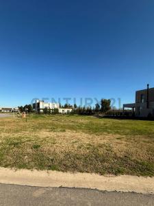 Albanueva , Tigre, GBA Norte 00001, Argentina