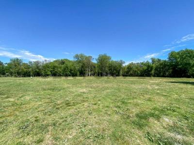 LOS ZORZALES Y LABASELA S/N, Brandsen, GBA Sur 00001, ארגנטינה