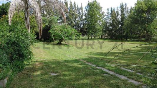 43 Entre 278 y 281 155, La Plata, GBA Sur 1900, 阿根廷