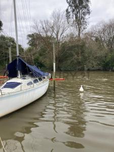 Arroyo Saladero , Berisso, GBA Sur 1923, Argentine