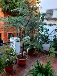 DE LAS ARTES 1000 1000, Parque Chacabuco, Capital Federal C1424BCC, 阿根廷