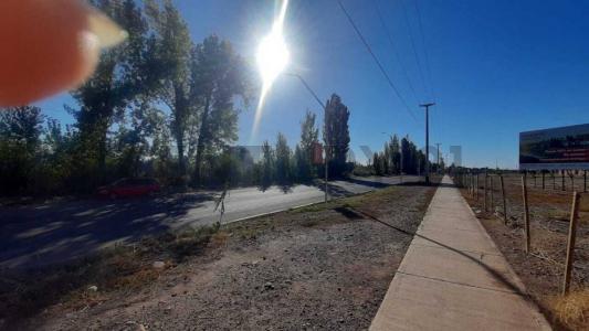 Carril Adriano Gómez , Maipú, Mendoza 5515, Argentina