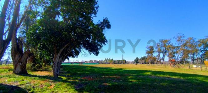 Callejon La Escondida , Luján, GBA Oeste 1755, Argentina