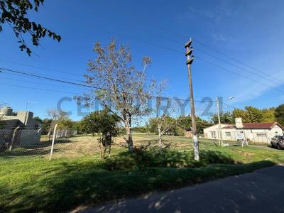 146 e 454 y 446 S/N, La Plata, GBA Sur 1896, Argentina