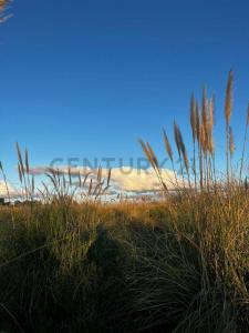 510 S/N, La Plata, GBA Sur 00001, Argentina