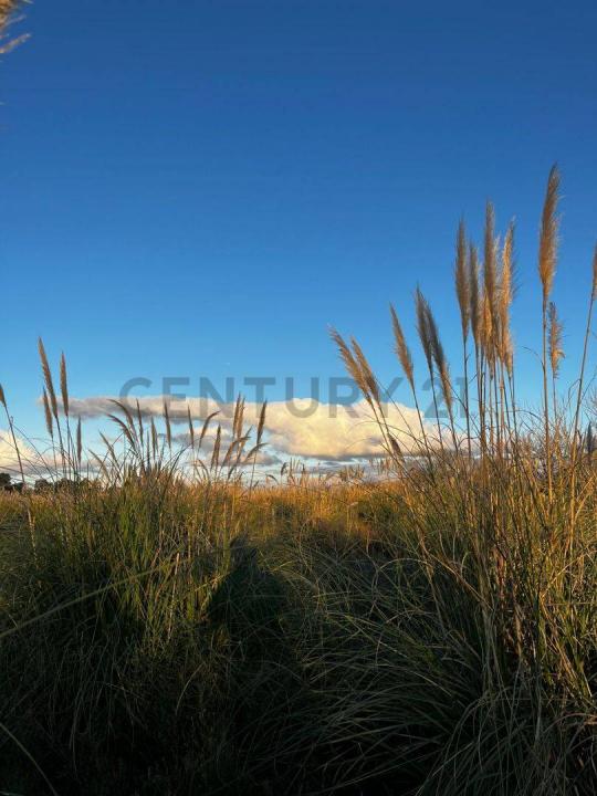 510 S/N, La Plata, GBA Sur 00001, Argentina