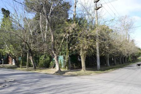 477 y 26 , La Plata, GBA Sur 1896, Argentina