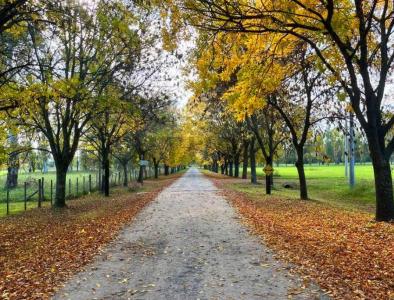 Ruta Nacional 215 - Km 54 21, Brandsen, GBA Sur 00001, ארגנטינה