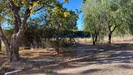 Maza , Maipú, Mendoza 00001, Argentyna