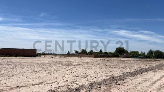 Callejon salinas , Maipú, Mendoza 5515, Argentyna