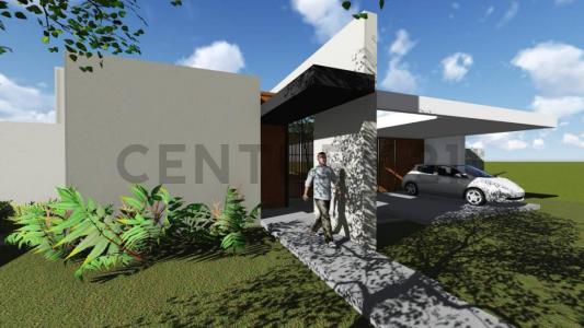 Calivar Norte 817, Rivadavia, San Juan 5425, Argentina