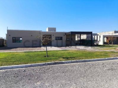 Callejón Australia y Calle Meglioli , San Juan, San Juan 5400, Argentina