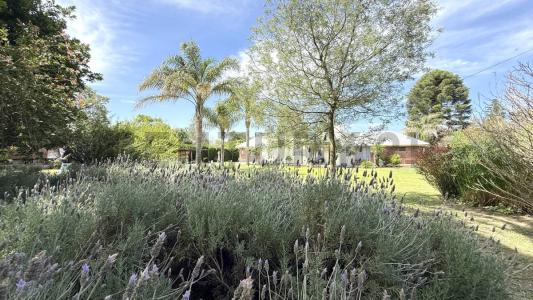 Corrientes 4497, Venado Tuerto, Santa Fe 2600, Argentine