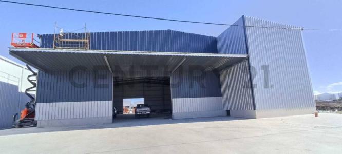 La Plata, GBA Sur 1903, Argentina