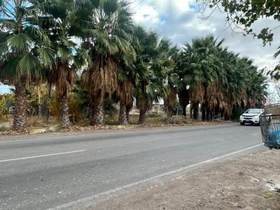 Rodeo Del Medio, Mendoza 5517, Argentina
