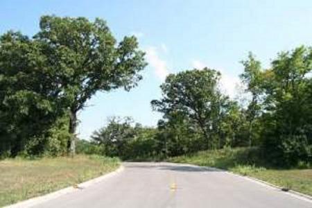 1209 Oak Grove Ct., Lot 12, Morris, Illinois 60450, USA