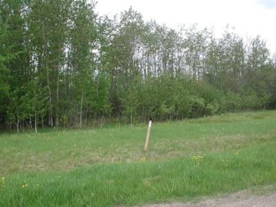 Lt 2 Blk 3 Aspen Dr, Deer River, Minnesota 56636, États-Unis