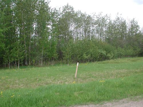 Lt 2 Blk 3 Aspen Dr, Deer River, Minnesota 56636, Amerika Birleşik Devletleri