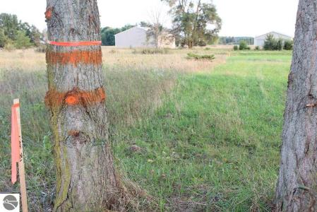 TBD Bonanza Lane, Lake Isabella, Мичиган 48893, Соединенные Штаты