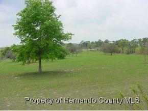 13255   Jacqueline Rd, Spring Hill, 佛罗里达州 34613, 美国