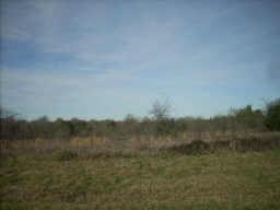 TBD W Interstate 30, Sulphur Springs, 得克萨斯州 75482, 美国