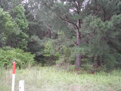 3180 Broad Street, Sumter, 南卡罗来纳州 29150, 美国